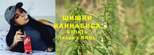 ГАЛЛЮЦИНОГЕННЫЕ ГРИБЫ Армянск