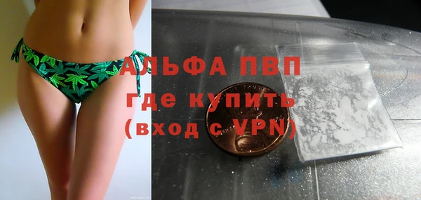 спиды Аркадак
