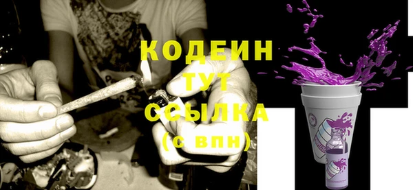 сатива Арсеньев