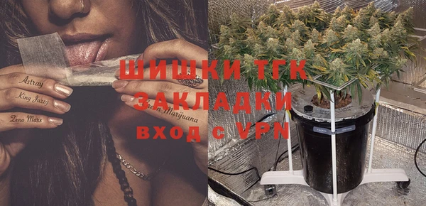 спиды Аркадак
