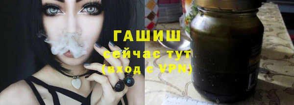 сатива Арсеньев