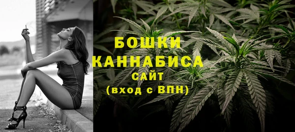сатива Арсеньев