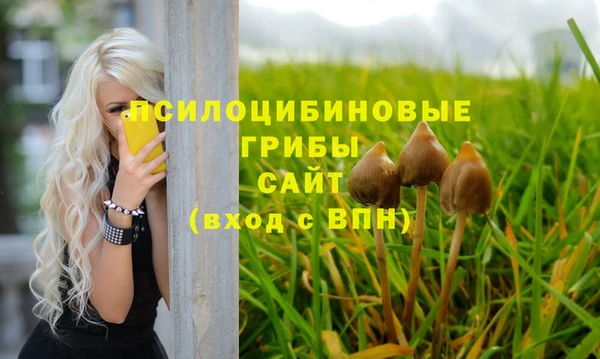 PSILOCYBIN Балахна