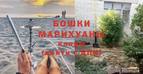 сатива Арсеньев