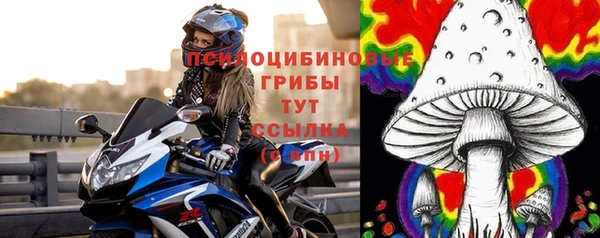 ГАЛЛЮЦИНОГЕННЫЕ ГРИБЫ Армянск